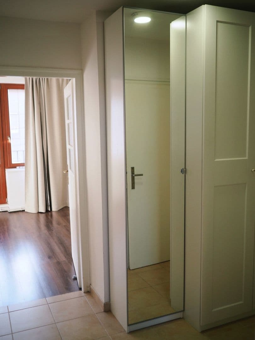 1 bedroom with open-plan kitchen flat to rent, 40 m², Královická, Prague, Prague 1 bedroom with open-plan kitchen flat to rent, 40 m², Královická, Prague, Prague
