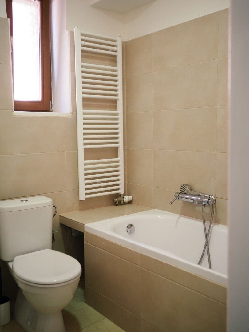 1 bedroom with open-plan kitchen flat to rent, 40 m², Královická, Prague, Prague 1 bedroom with open-plan kitchen flat to rent, 40 m², Královická, Prague, Prague