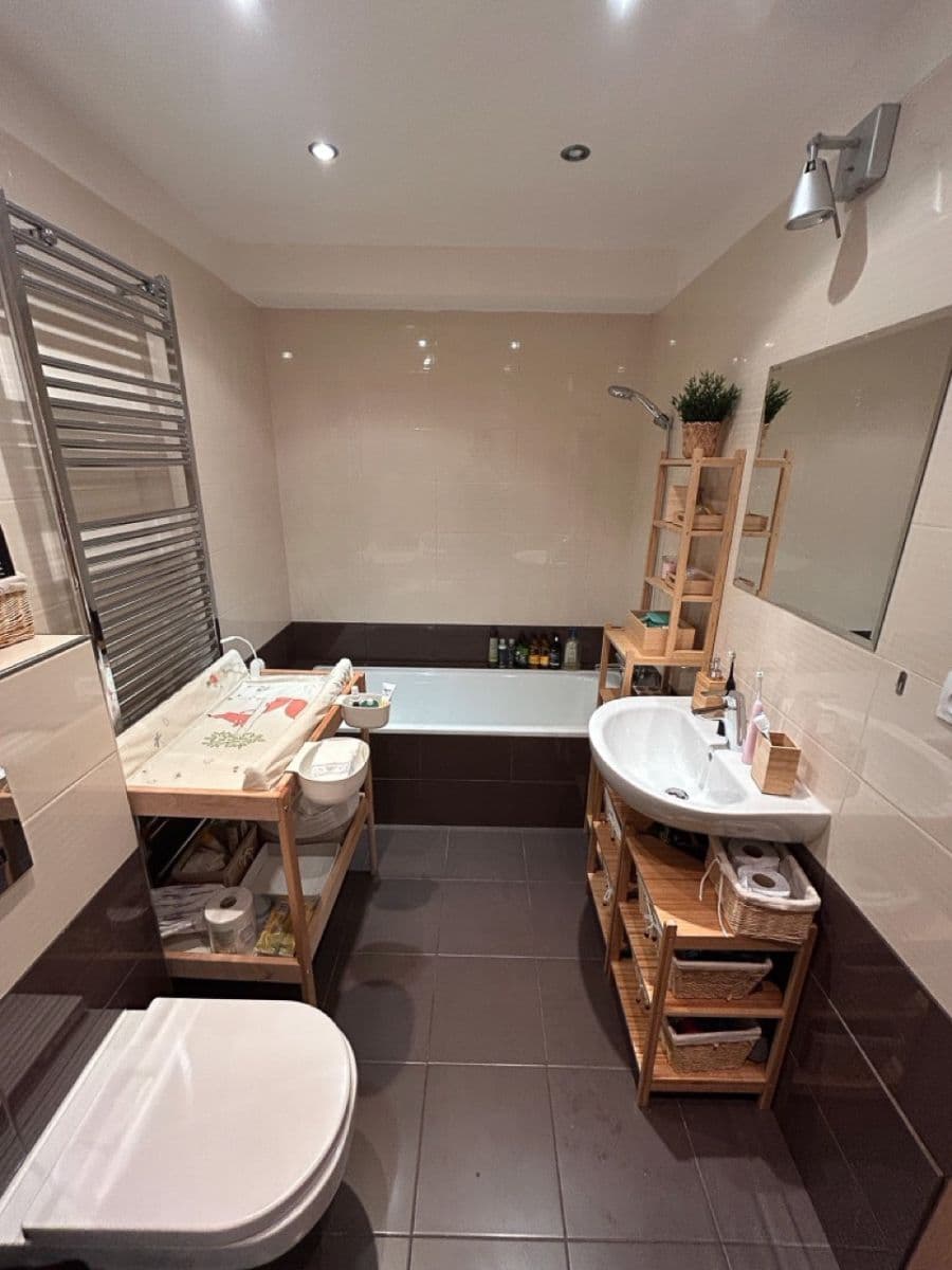 1 bedroom with open-plan kitchen flat for sale, 86 m², U Sladovny, Prague, Prague 1 bedroom with open-plan kitchen flat for sale, 86 m², U Sladovny, Prague, Prague