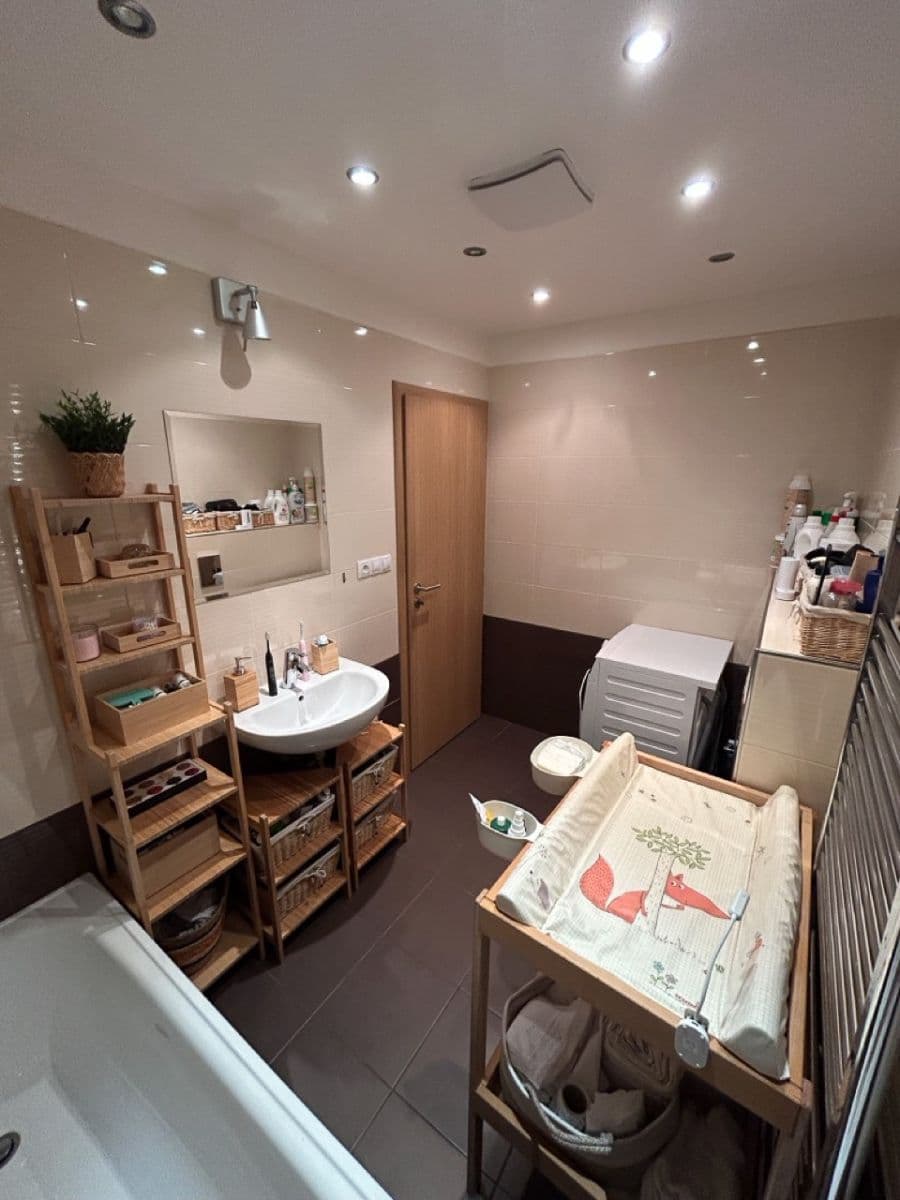 1 bedroom with open-plan kitchen flat for sale, 86 m², U Sladovny, Prague, Prague 1 bedroom with open-plan kitchen flat for sale, 86 m², U Sladovny, Prague, Prague