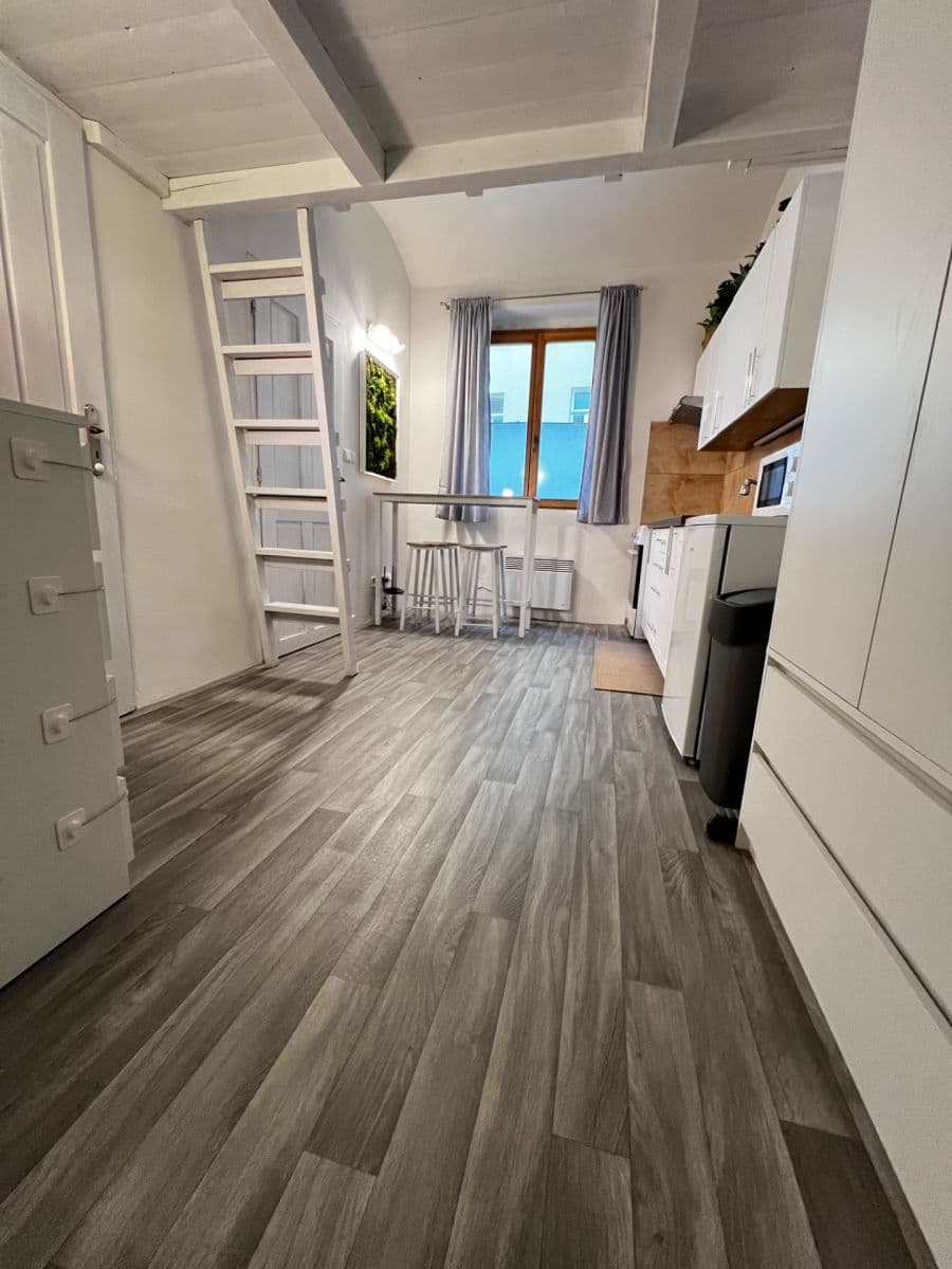 1 bedroom with open-plan kitchen flat to rent, 35 m², Plzeňská, Prague, Prague 1 bedroom with open-plan kitchen flat to rent, 35 m², Plzeňská, Prague, Prague