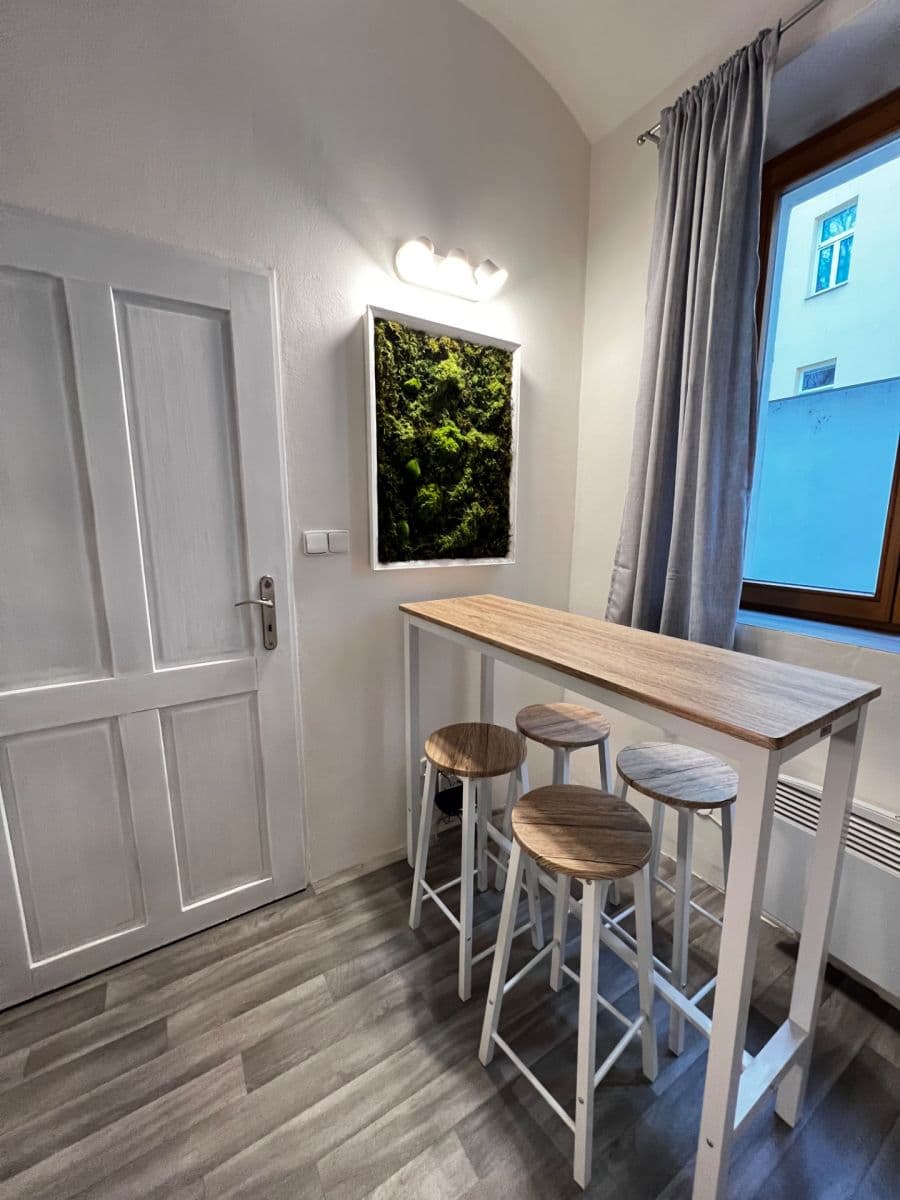 1 bedroom with open-plan kitchen flat to rent, 35 m², Plzeňská, Prague, Prague 1 bedroom with open-plan kitchen flat to rent, 35 m², Plzeňská, Prague, Prague
