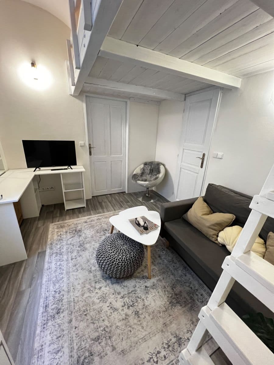 1 bedroom with open-plan kitchen flat to rent, 35 m², Plzeňská, Prague, Prague 1 bedroom with open-plan kitchen flat to rent, 35 m², Plzeňská, Prague, Prague