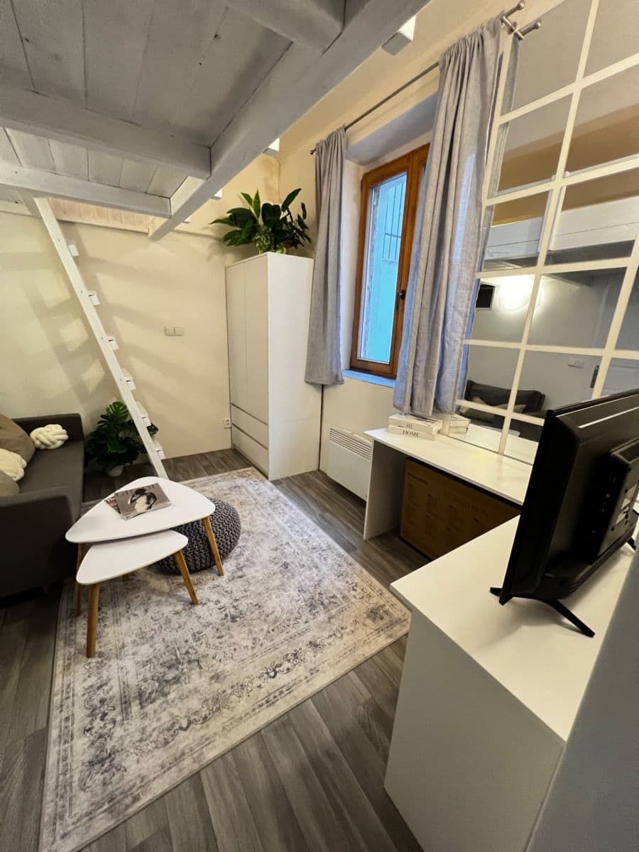 1 bedroom with open-plan kitchen flat to rent, 35 m², Plzeňská, Prague, Prague 1 bedroom with open-plan kitchen flat to rent, 35 m², Plzeňská, Prague, Prague