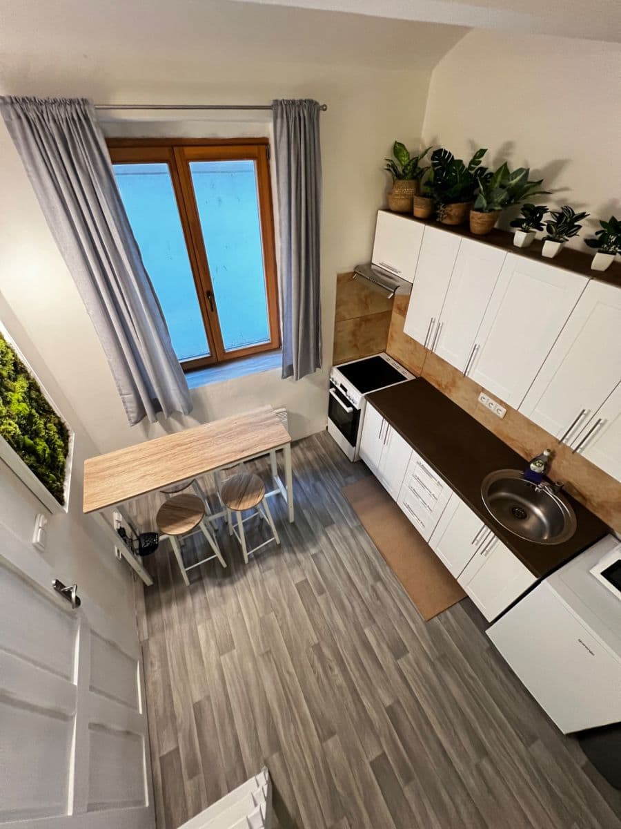 1 bedroom with open-plan kitchen flat to rent, 35 m², Plzeňská, Prague, Prague 1 bedroom with open-plan kitchen flat to rent, 35 m², Plzeňská, Prague, Prague