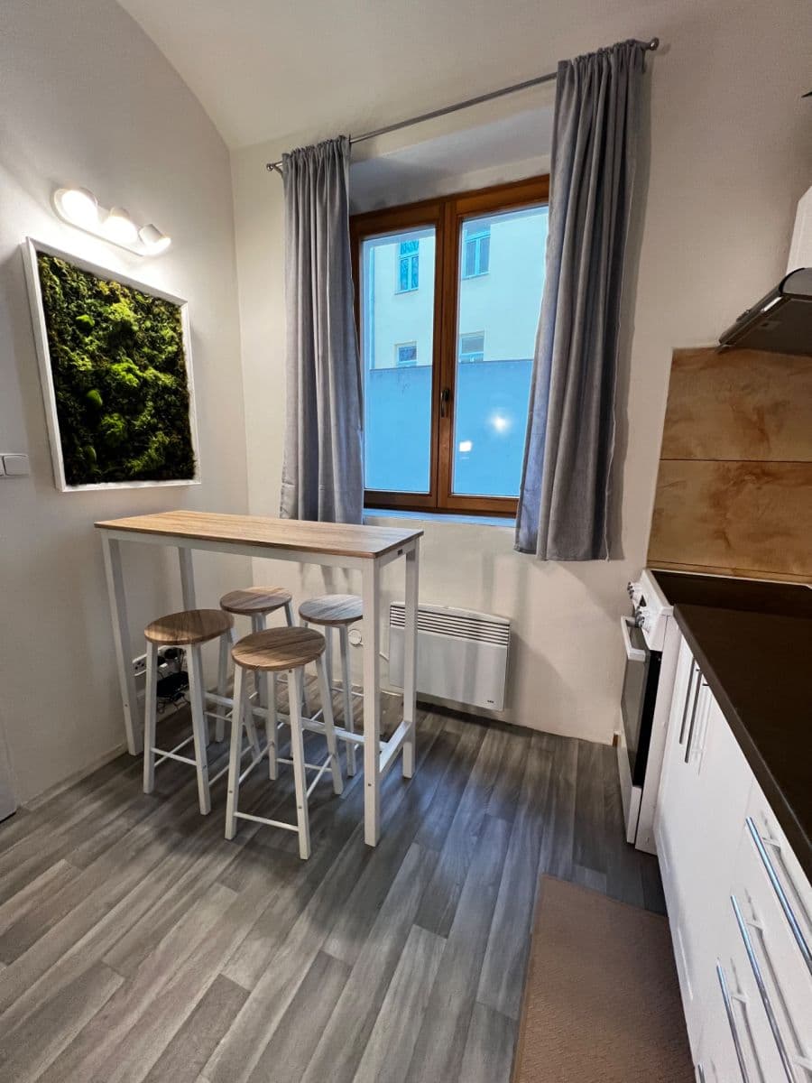 1 bedroom with open-plan kitchen flat to rent, 35 m², Plzeňská, Prague, Prague 1 bedroom with open-plan kitchen flat to rent, 35 m², Plzeňská, Prague, Prague