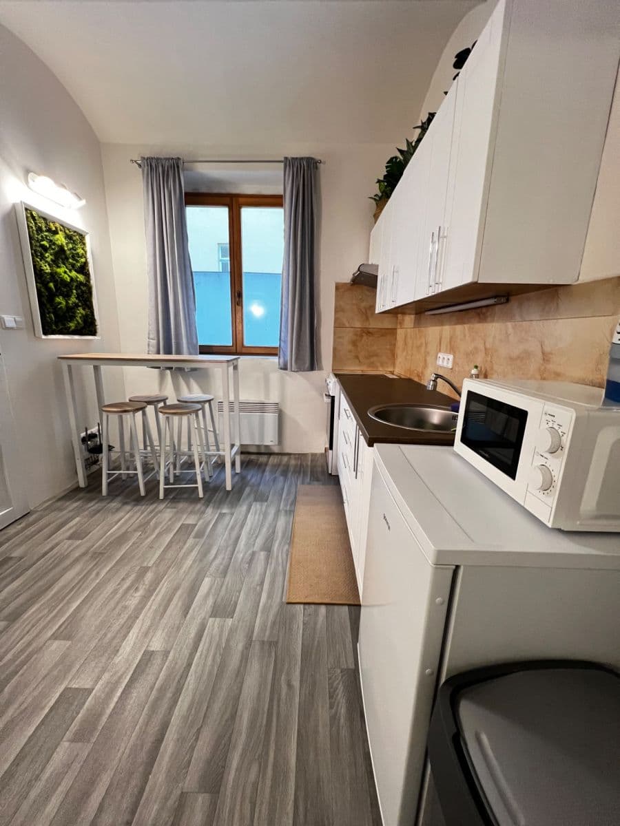 1 bedroom with open-plan kitchen flat to rent, 35 m², Plzeňská, Prague, Prague 1 bedroom with open-plan kitchen flat to rent, 35 m², Plzeňská, Prague, Prague