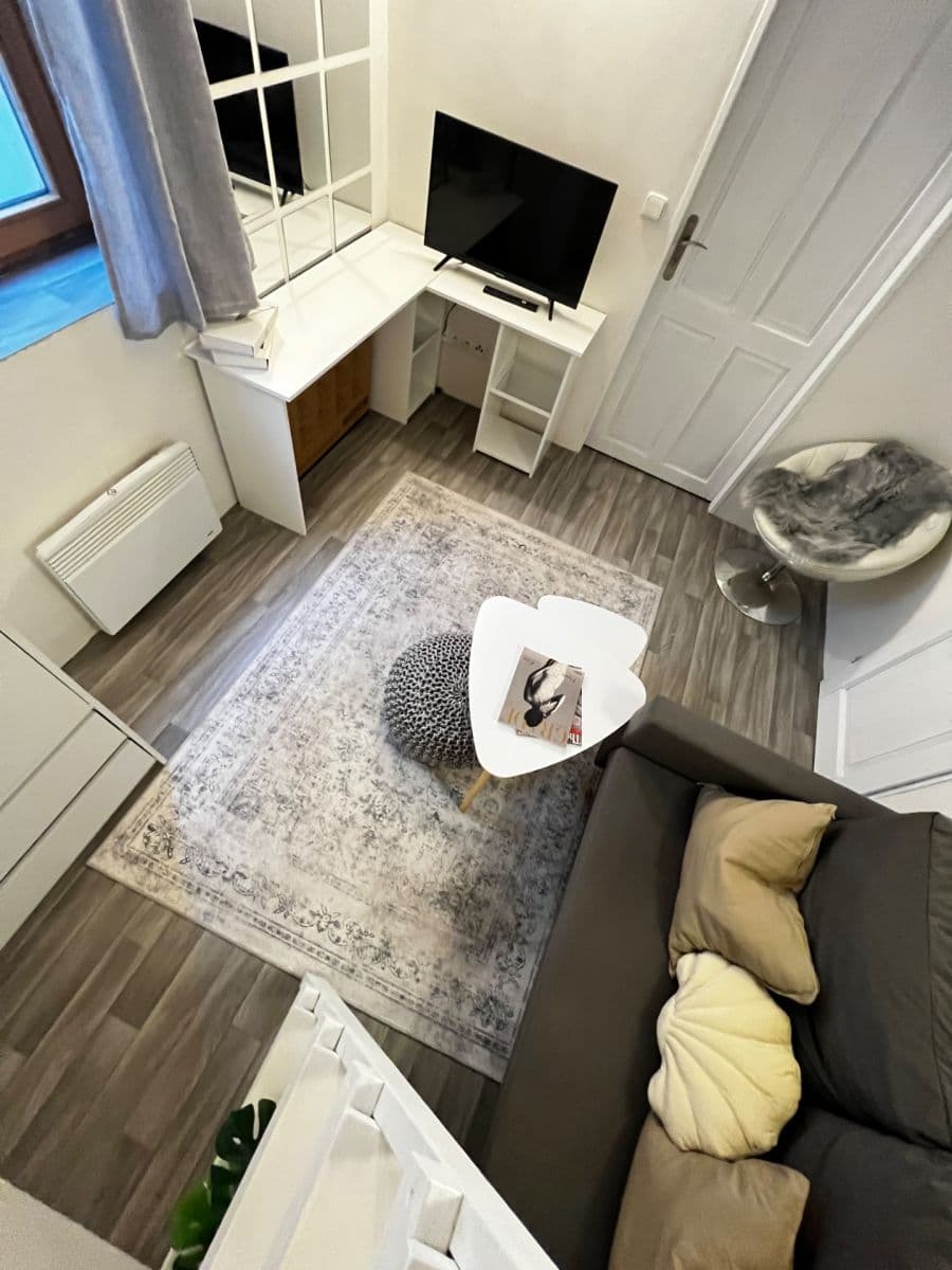 1 bedroom with open-plan kitchen flat to rent, 35 m², Plzeňská, Prague, Prague 1 bedroom with open-plan kitchen flat to rent, 35 m², Plzeňská, Prague, Prague