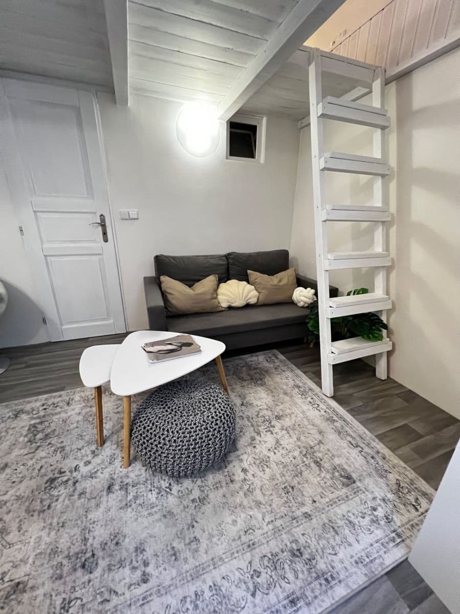 1 bedroom with open-plan kitchen flat to rent, 35 m², Plzeňská, Prague, Prague 1 bedroom with open-plan kitchen flat to rent, 35 m², Plzeňská, Prague, Prague