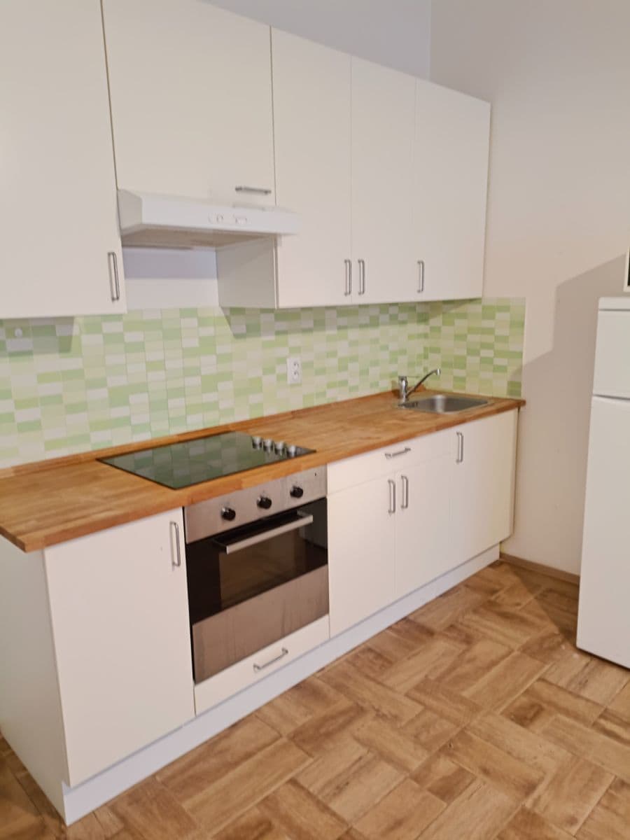 1 bedroom with open-plan kitchen flat to rent, 48 m², Levá, Prague, Prague 1 bedroom with open-plan kitchen flat to rent, 48 m², Levá, Prague, Prague