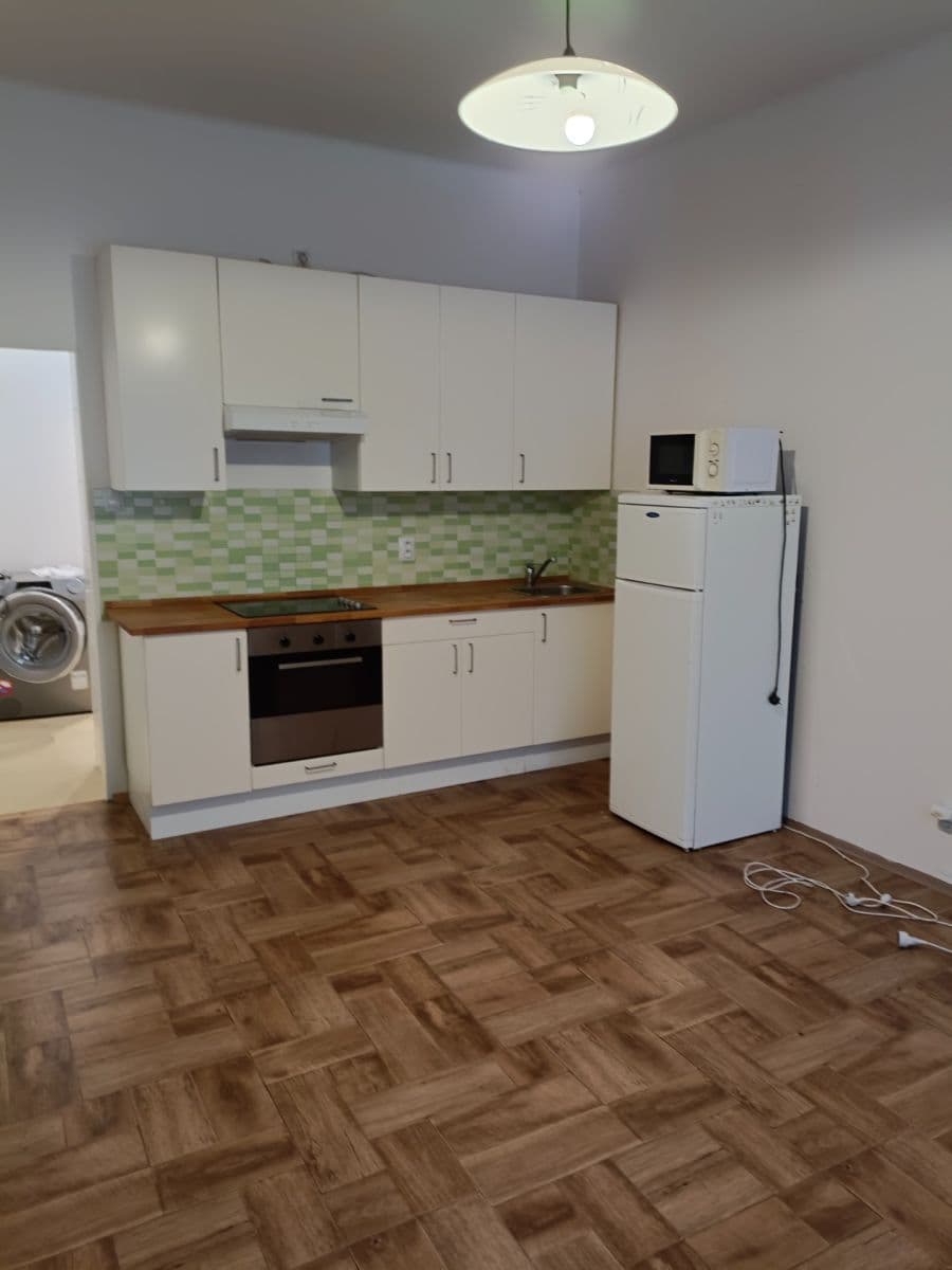 1 bedroom with open-plan kitchen flat to rent, 48 m², Levá, Prague, Prague 1 bedroom with open-plan kitchen flat to rent, 48 m², Levá, Prague, Prague
