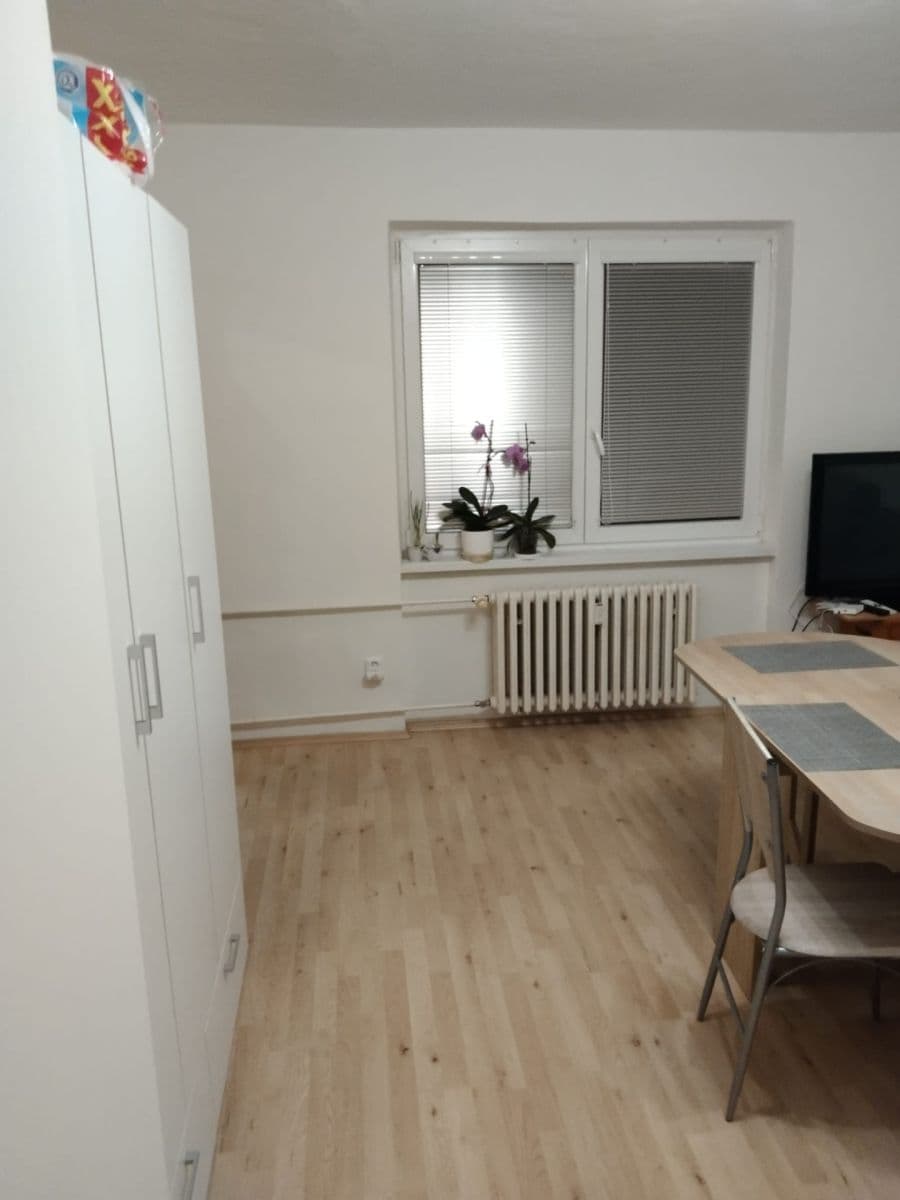 1 bedroom with open-plan kitchen flat to rent, 40 m², Kamenný Přívoz, Středočeský Region 1 bedroom with open-plan kitchen flat to rent, 40 m², Kamenný Přívoz, Středočeský Region