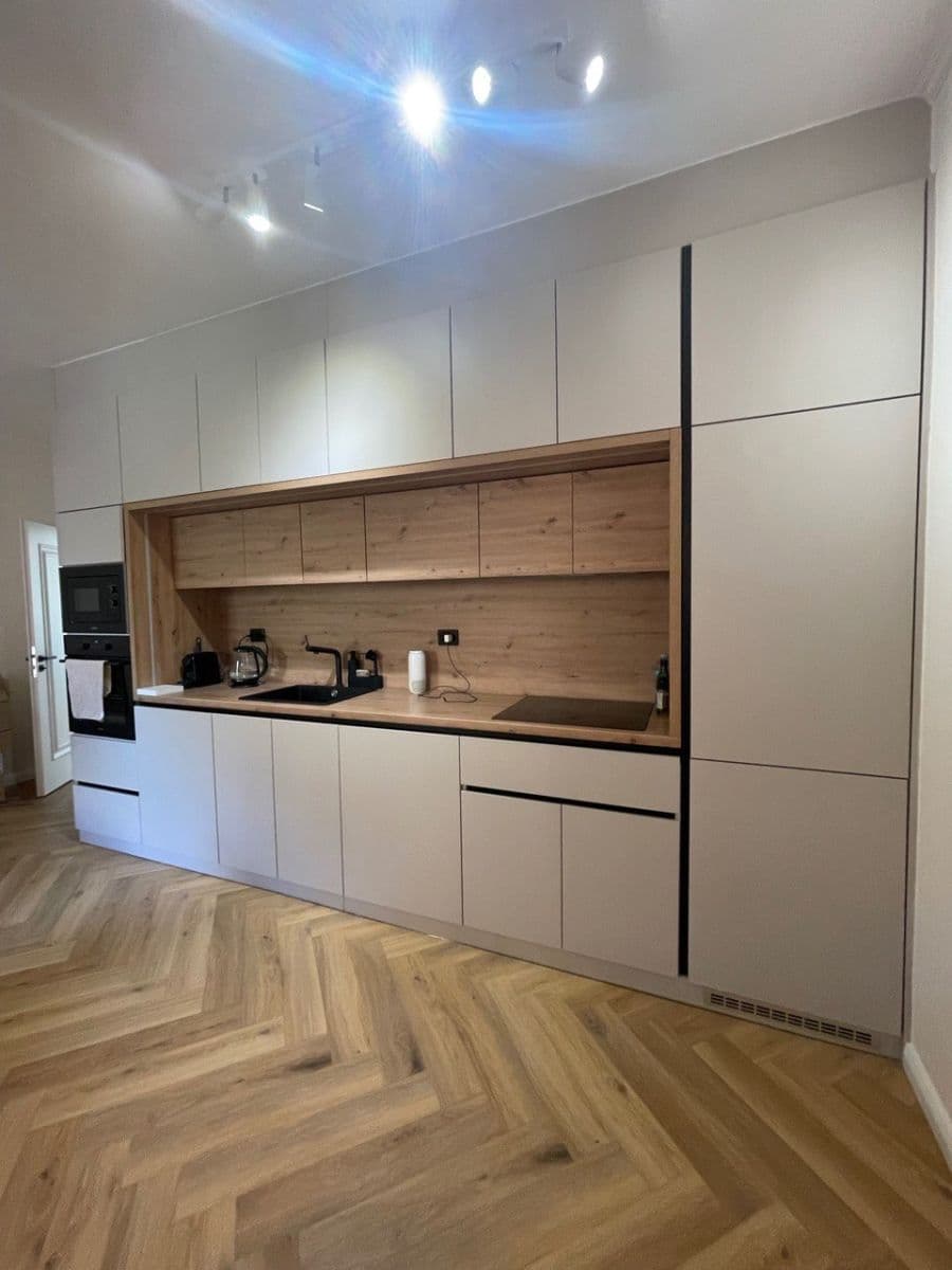 1 bedroom with open-plan kitchen flat to rent, 54 m², Na Zámyšli, Prague, Prague 1 bedroom with open-plan kitchen flat to rent, 54 m², Na Zámyšli, Prague, Prague