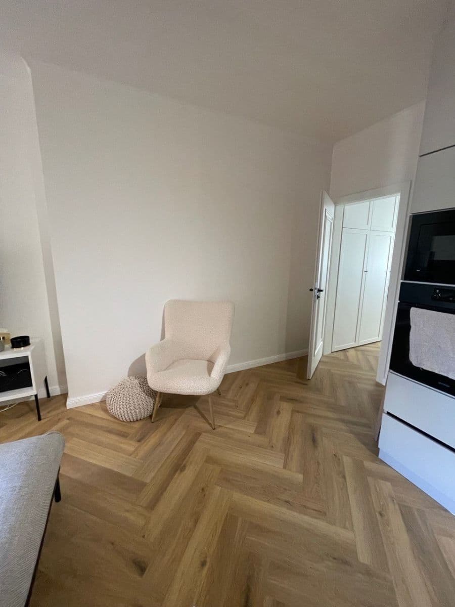 1 bedroom with open-plan kitchen flat to rent, 54 m², Na Zámyšli, Prague, Prague 1 bedroom with open-plan kitchen flat to rent, 54 m², Na Zámyšli, Prague, Prague