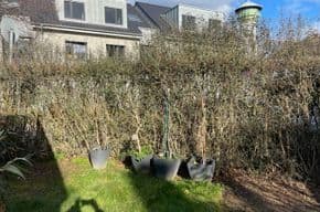 house for sale, 134 m², Wesseling, North Rhine-Westphalia house for sale, 134 m², Wesseling, North Rhine-Westphalia