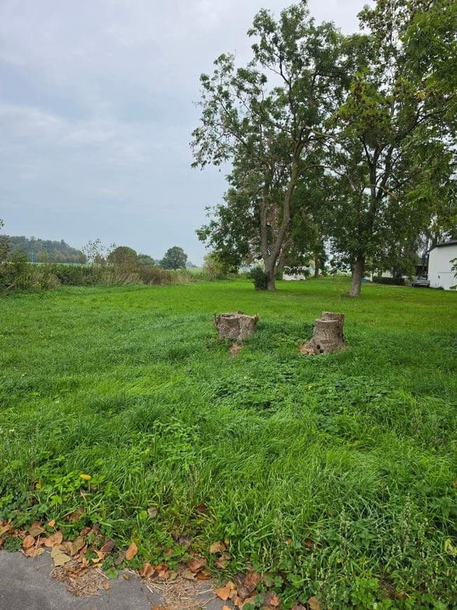 plot for sale, 1,298 m², Zehlen 4, Bergen auf Rügen, Mecklenburg-Vorpommern plot for sale, 1,298 m², Zehlen 4, Bergen auf Rügen, Mecklenburg-Vorpommern