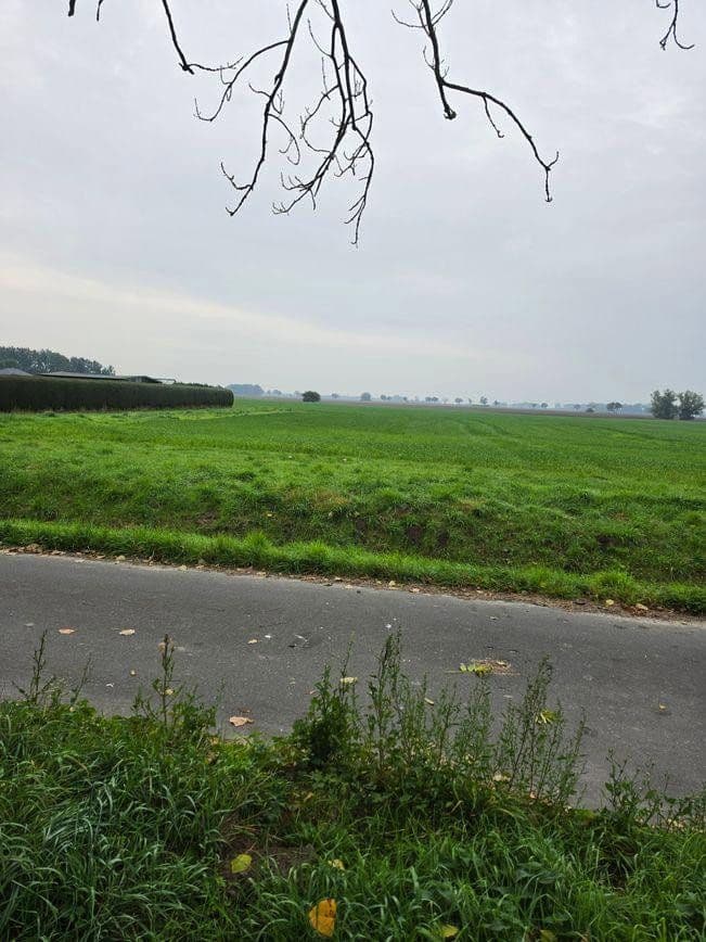 plot for sale, 1,298 m², Zehlen 4, Bergen auf Rügen, Mecklenburg-Vorpommern plot for sale, 1,298 m², Zehlen 4, Bergen auf Rügen, Mecklenburg-Vorpommern