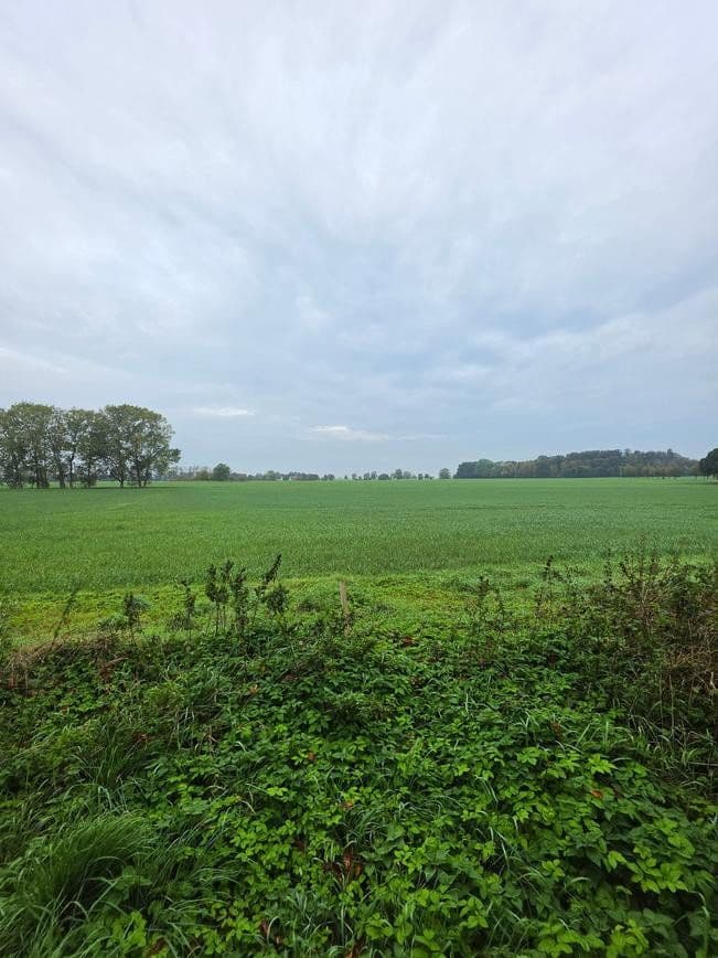 plot for sale, 1,298 m², Zehlen 4, Bergen auf Rügen, Mecklenburg-Vorpommern plot for sale, 1,298 m², Zehlen 4, Bergen auf Rügen, Mecklenburg-Vorpommern