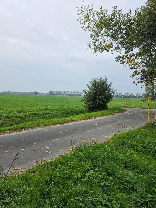 plot for sale, 1,298 m², Zehlen 4, Bergen auf Rügen, Mecklenburg-Vorpommern plot for sale, 1,298 m², Zehlen 4, Bergen auf Rügen, Mecklenburg-Vorpommern