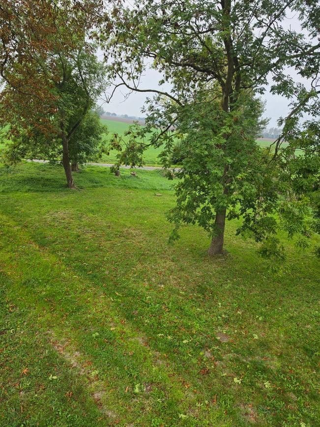 plot for sale, 1,298 m², Zehlen 4, Bergen auf Rügen, Mecklenburg-Vorpommern plot for sale, 1,298 m², Zehlen 4, Bergen auf Rügen, Mecklenburg-Vorpommern