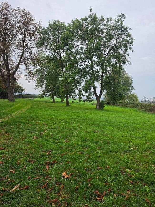 plot for sale, 1,298 m², Zehlen 4, Bergen auf Rügen, Mecklenburg-Vorpommern plot for sale, 1,298 m², Zehlen 4, Bergen auf Rügen, Mecklenburg-Vorpommern