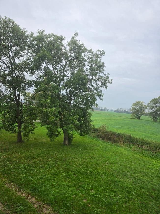 plot for sale, 1,298 m², Zehlen 4, Bergen auf Rügen, Mecklenburg-Vorpommern plot for sale, 1,298 m², Zehlen 4, Bergen auf Rügen, Mecklenburg-Vorpommern