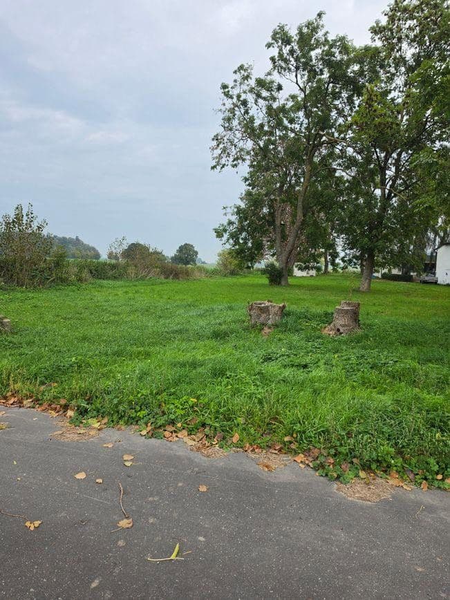 plot for sale, 1,298 m², Zehlen 4, Bergen auf Rügen, Mecklenburg-Vorpommern plot for sale, 1,298 m², Zehlen 4, Bergen auf Rügen, Mecklenburg-Vorpommern