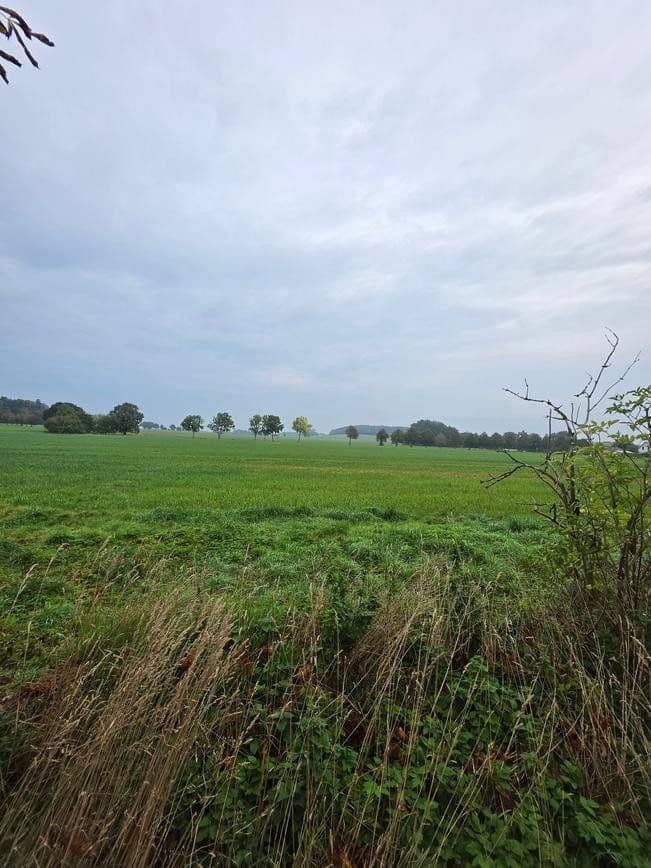 plot for sale, 1,298 m², Zehlen 4, Bergen auf Rügen, Mecklenburg-Vorpommern plot for sale, 1,298 m², Zehlen 4, Bergen auf Rügen, Mecklenburg-Vorpommern