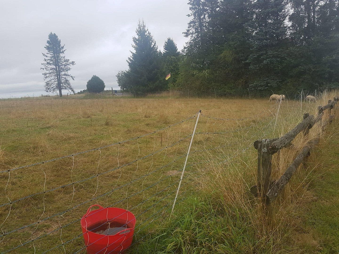 plot for sale, 1,761 m², Eschbergstr. 3, Esch, Rhineland-Palatinate plot for sale, 1,761 m², Eschbergstr. 3, Esch, Rhineland-Palatinate