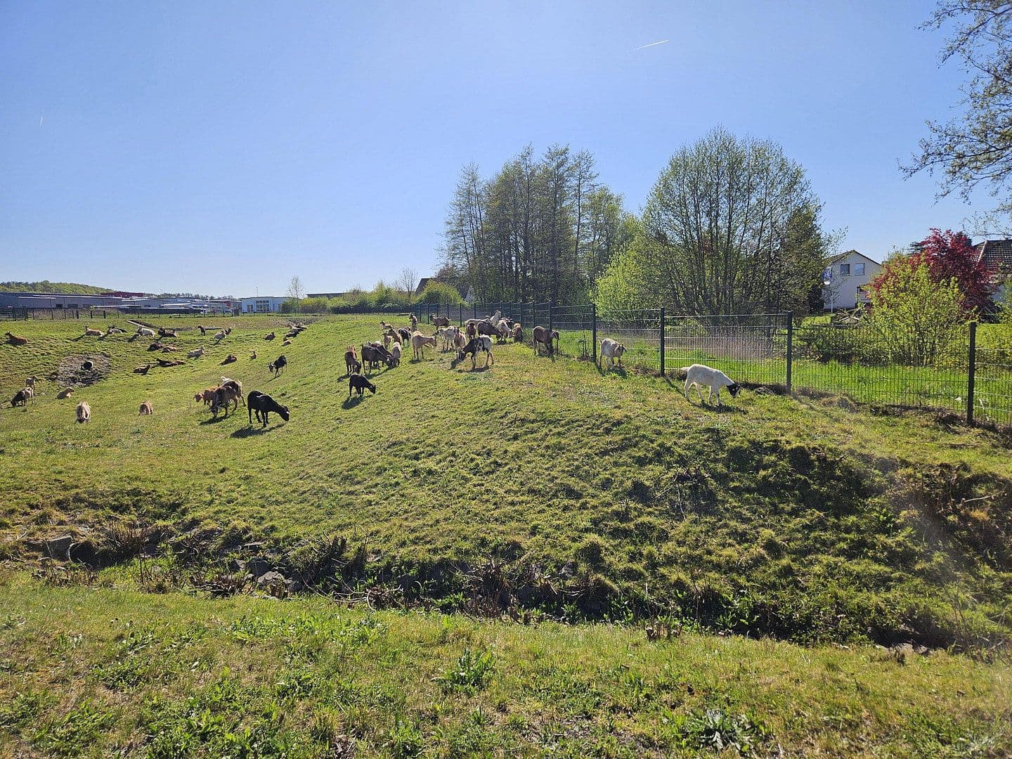 plot for sale, 751 m², Offenbergblick 16, Hofgeismar, Hesse plot for sale, 751 m², Offenbergblick 16, Hofgeismar, Hesse