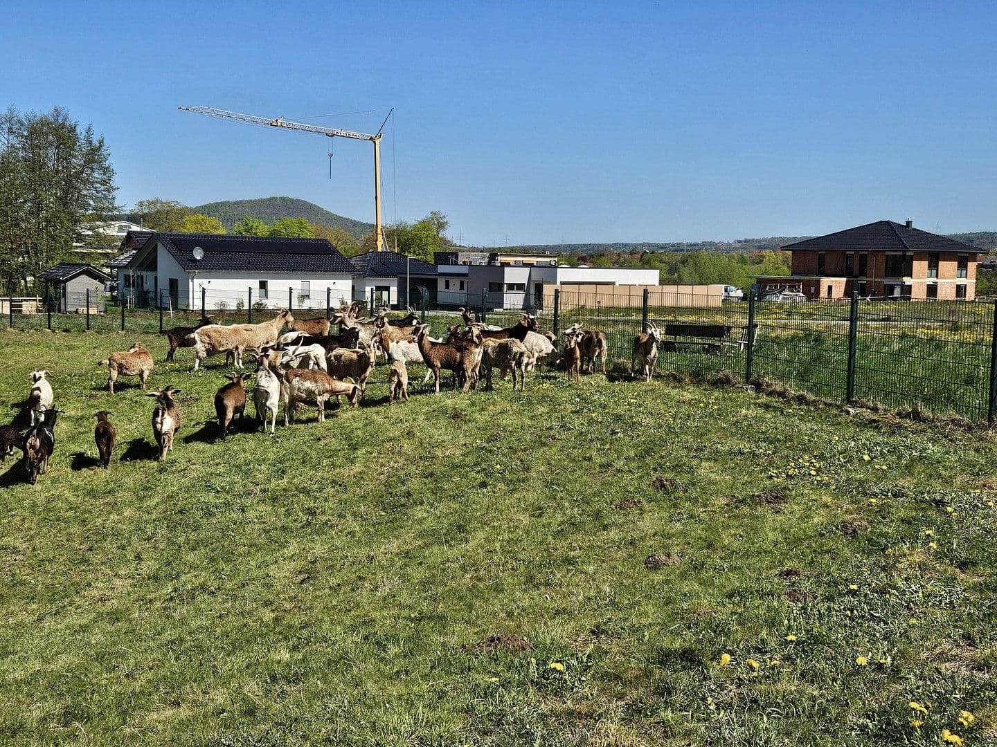 plot for sale, 751 m², Offenbergblick 16, Hofgeismar, Hesse plot for sale, 751 m², Offenbergblick 16, Hofgeismar, Hesse