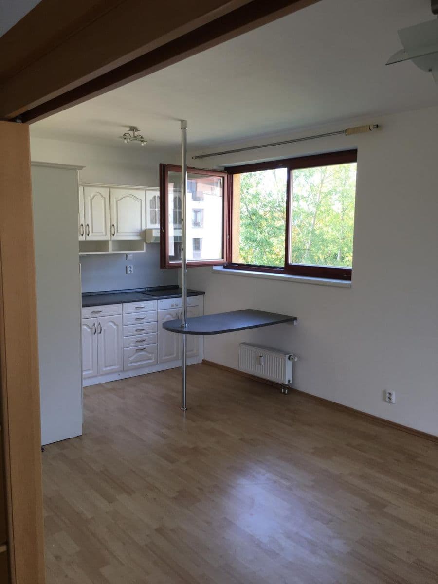 1 bedroom with open-plan kitchen flat to rent, 43 m², Jaroslava Foglara, Prague, Prague 1 bedroom with open-plan kitchen flat to rent, 43 m², Jaroslava Foglara, Prague, Prague