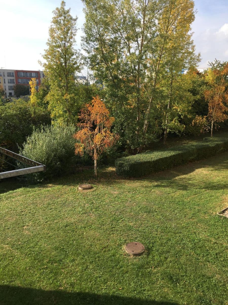 1 bedroom with open-plan kitchen flat to rent, 43 m², Jaroslava Foglara, Prague, Prague 1 bedroom with open-plan kitchen flat to rent, 43 m², Jaroslava Foglara, Prague, Prague