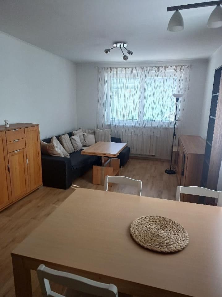 1 bedroom with open-plan kitchen flat to rent, 50 m², Svitavská, Prague, Prague 1 bedroom with open-plan kitchen flat to rent, 50 m², Svitavská, Prague, Prague