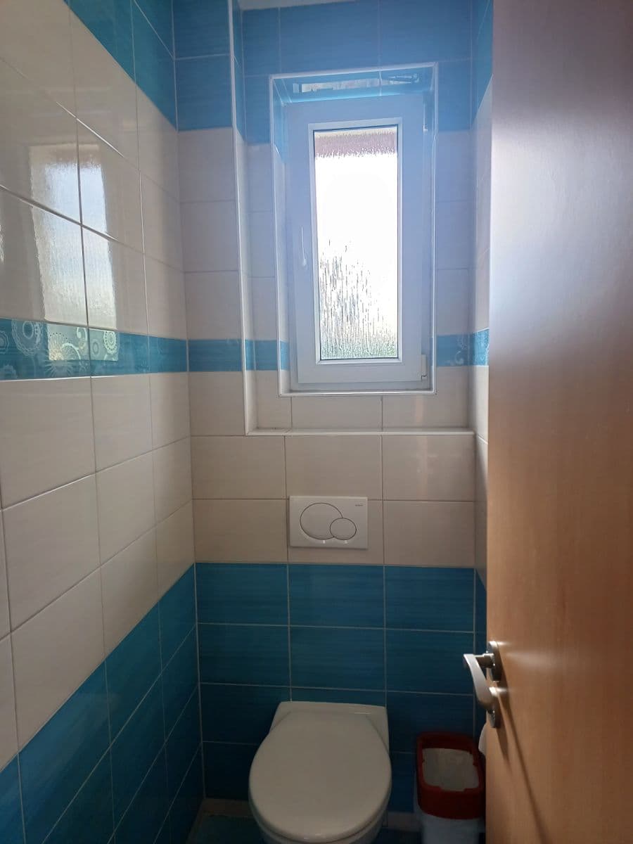 1 bedroom with open-plan kitchen flat to rent, 50 m², Svitavská, Prague, Prague 1 bedroom with open-plan kitchen flat to rent, 50 m², Svitavská, Prague, Prague