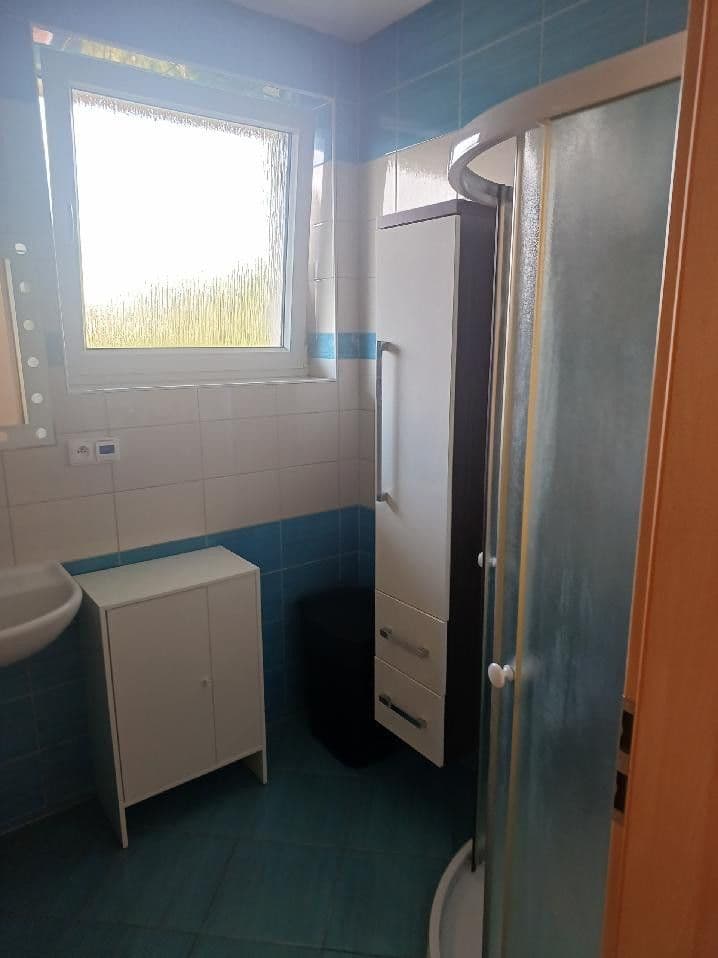 1 bedroom with open-plan kitchen flat to rent, 50 m², Svitavská, Prague, Prague 1 bedroom with open-plan kitchen flat to rent, 50 m², Svitavská, Prague, Prague