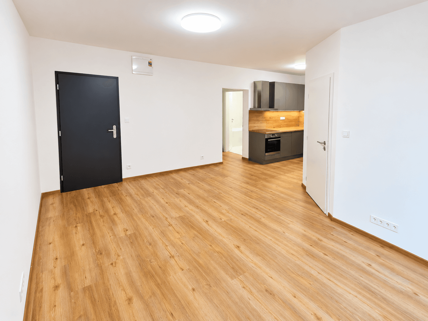 1 bedroom with open-plan kitchen flat to rent, 45 m², Pod Stárkou, Prague, Prague 1 bedroom with open-plan kitchen flat to rent, 45 m², Pod Stárkou, Prague, Prague