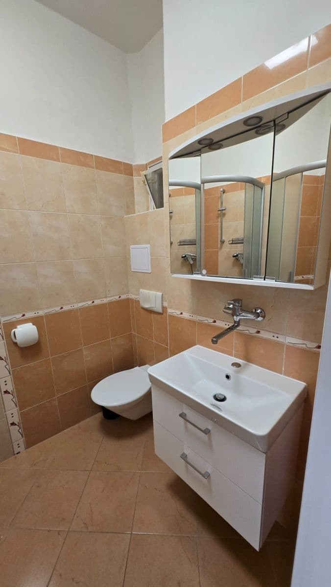 Studio flat to rent, 30 m², Vrchlického, Prague, Prague Studio flat to rent, 30 m², Vrchlického, Prague, Prague
