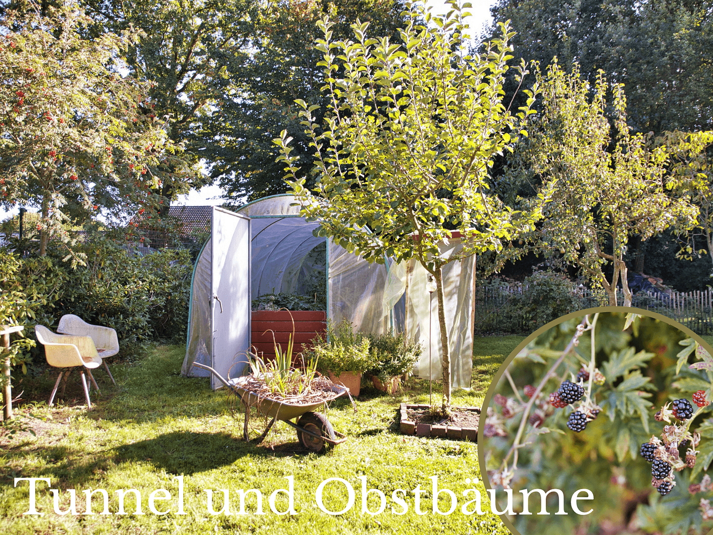 house for sale, 209 m², Bad Zwischenahn, Lower Saxony house for sale, 209 m², Bad Zwischenahn, Lower Saxony