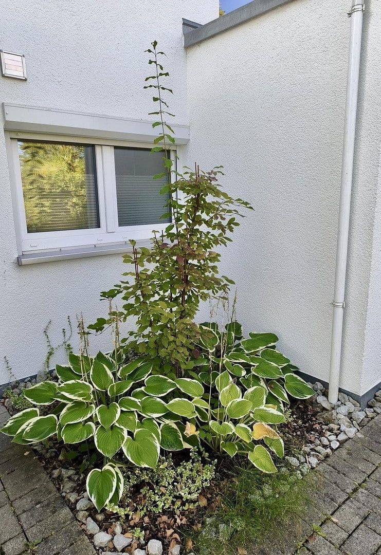 house for sale, 111 m², Altdorf, Baden-Württemberg house for sale, 111 m², Altdorf, Baden-Württemberg