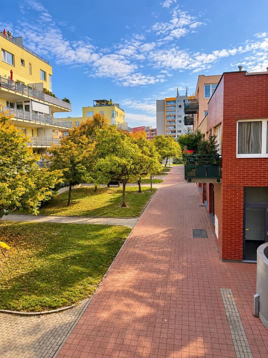 2 bedroom with open-plan kitchen flat to rent, 101 m², Voskovcova, Prague, Prague 2 bedroom with open-plan kitchen flat to rent, 101 m², Voskovcova, Prague, Prague