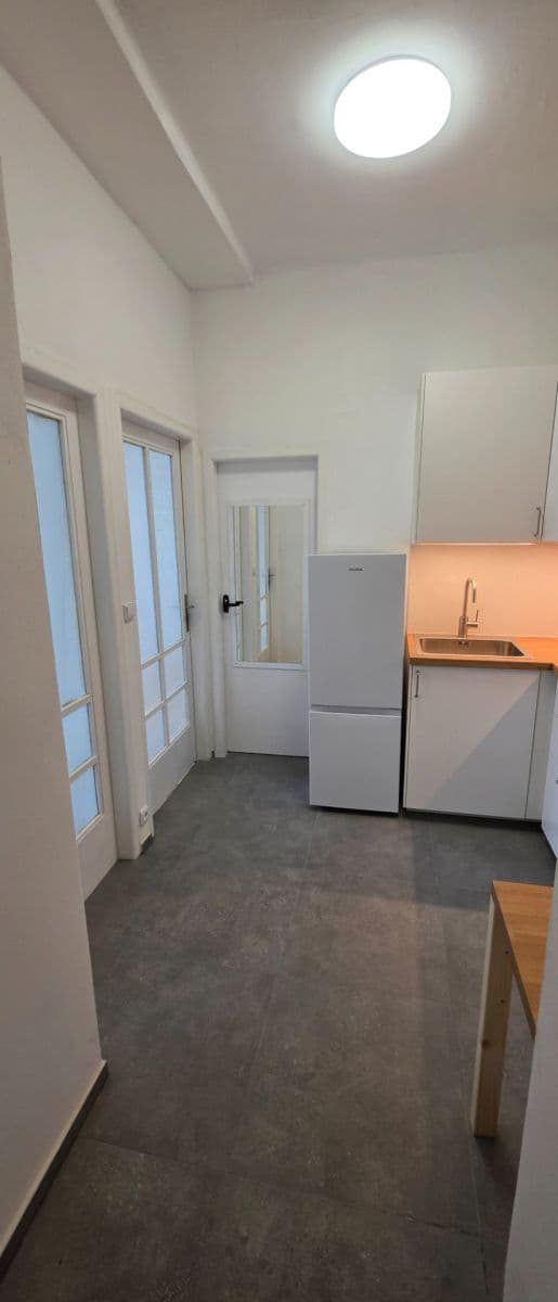 1 bedroom with open-plan kitchen flat to rent, 53 m², Jankovcova, Prague, Prague 1 bedroom with open-plan kitchen flat to rent, 53 m², Jankovcova, Prague, Prague
