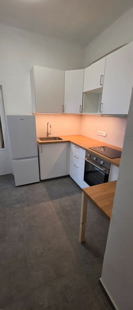 1 bedroom with open-plan kitchen flat to rent, 53 m², Jankovcova, Prague, Prague 1 bedroom with open-plan kitchen flat to rent, 53 m², Jankovcova, Prague, Prague