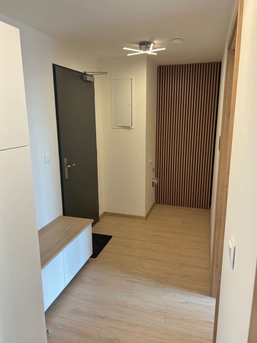 1 bedroom with open-plan kitchen flat for sale, 50 m², Haenkeho, Prague, Prague 1 bedroom with open-plan kitchen flat for sale, 50 m², Haenkeho, Prague, Prague