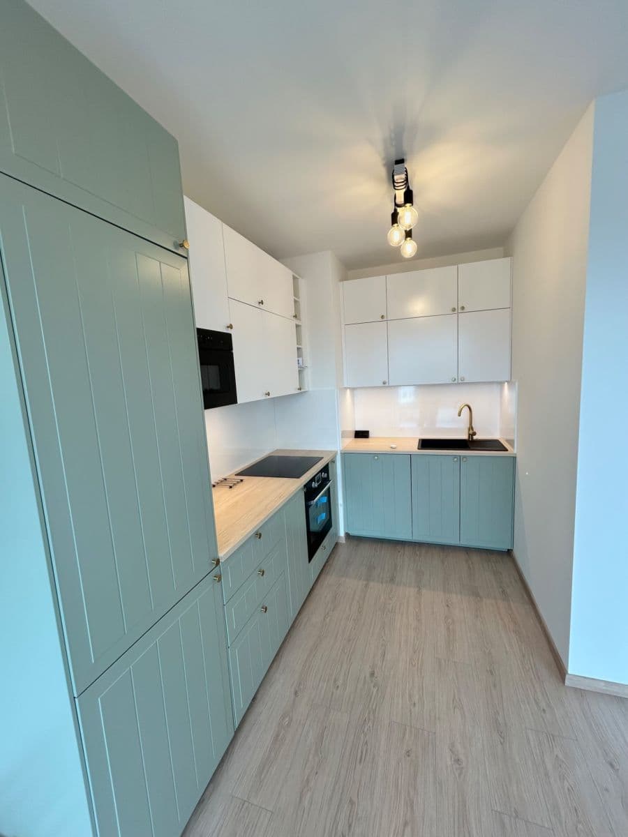 1 bedroom with open-plan kitchen flat for sale, 50 m², Haenkeho, Prague, Prague 1 bedroom with open-plan kitchen flat for sale, 50 m², Haenkeho, Prague, Prague