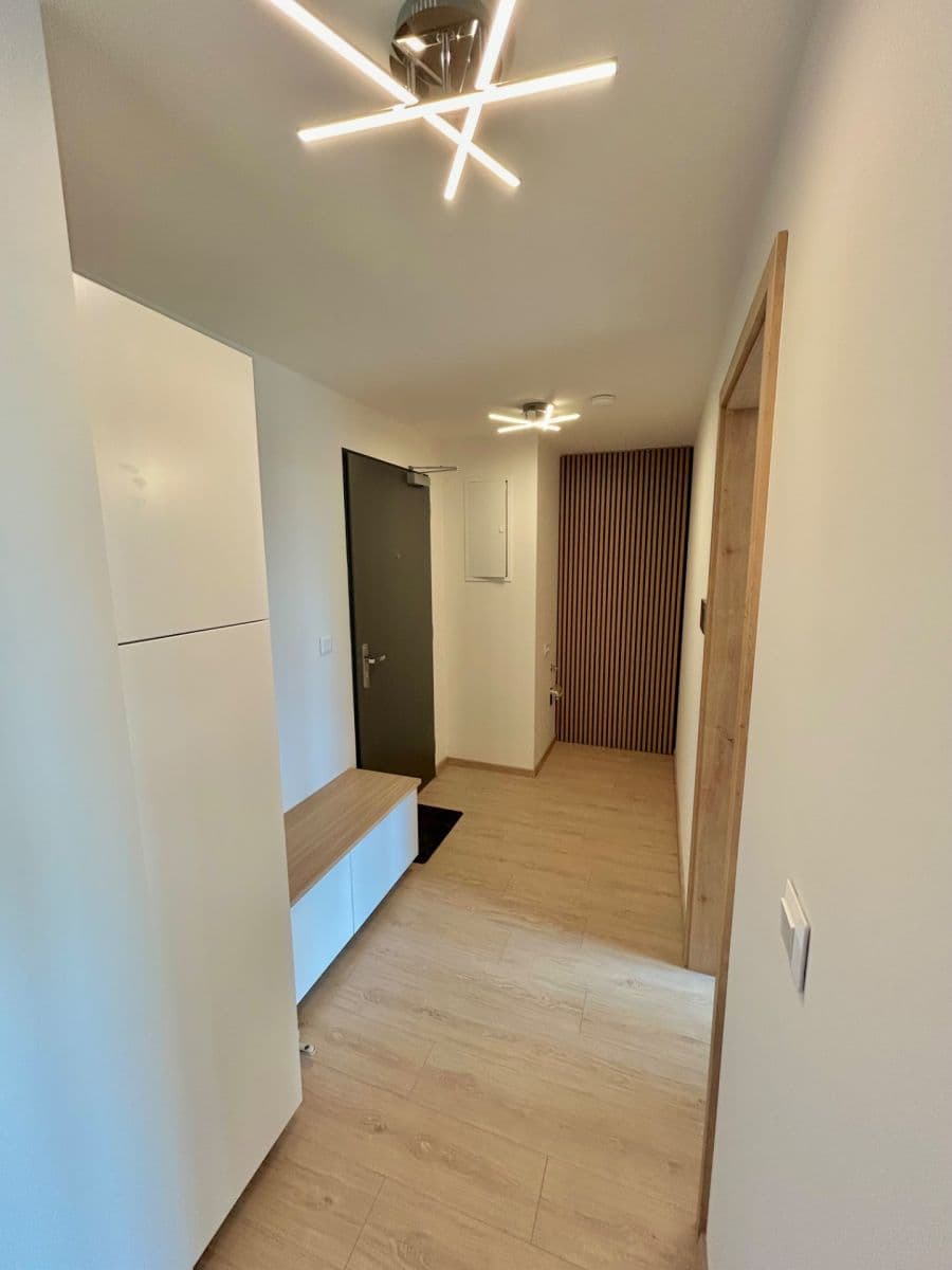 1 bedroom with open-plan kitchen flat for sale, 50 m², Haenkeho, Prague, Prague 1 bedroom with open-plan kitchen flat for sale, 50 m², Haenkeho, Prague, Prague