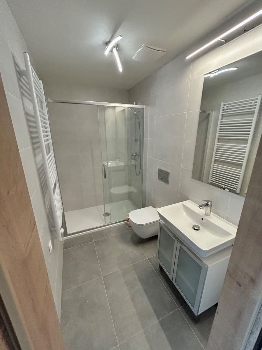 1 bedroom with open-plan kitchen flat for sale, 50 m², Haenkeho, Prague, Prague 1 bedroom with open-plan kitchen flat for sale, 50 m², Haenkeho, Prague, Prague