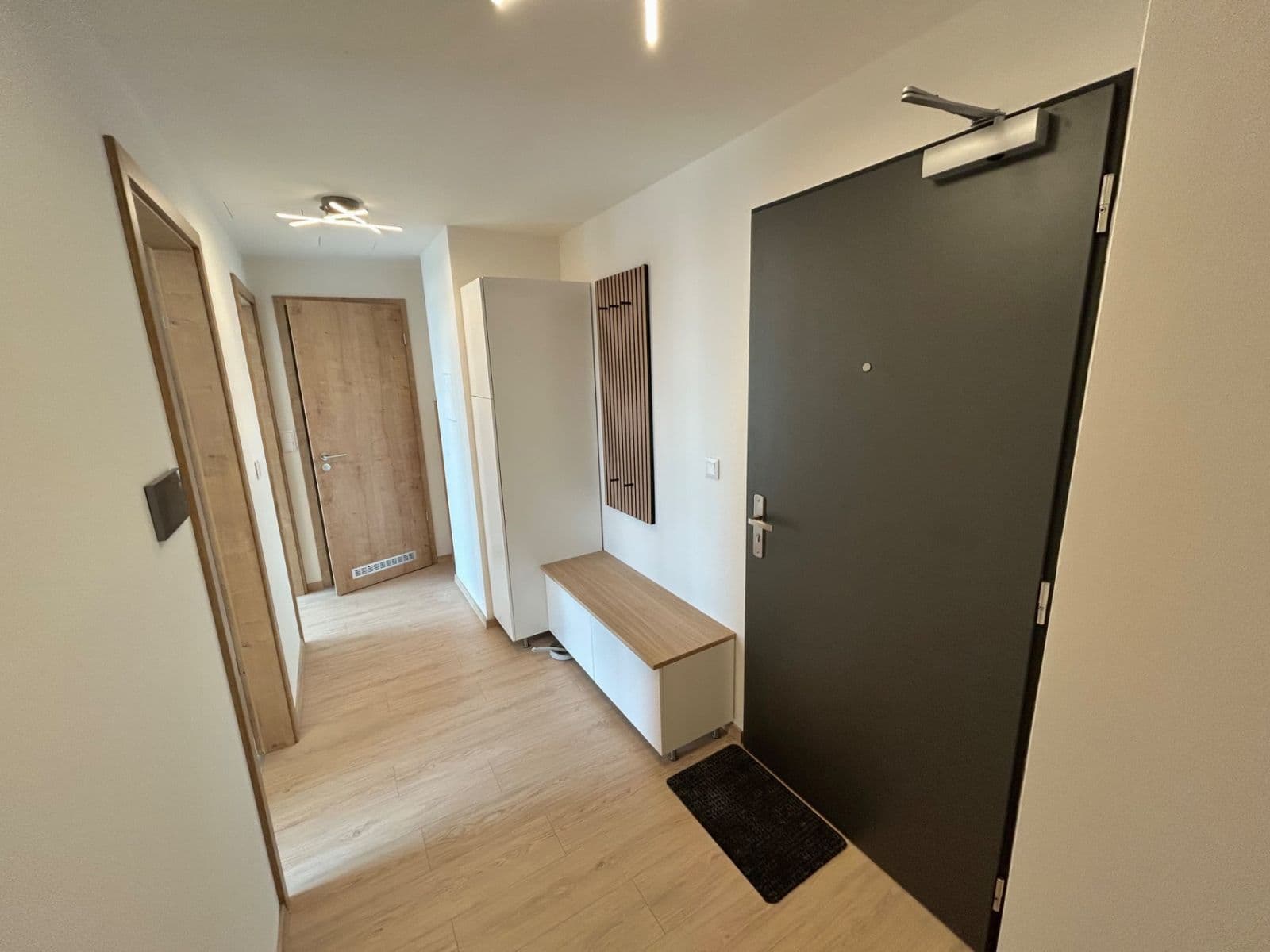 1 bedroom with open-plan kitchen flat for sale, 50 m², Haenkeho, Prague, Prague 1 bedroom with open-plan kitchen flat for sale, 50 m², Haenkeho, Prague, Prague