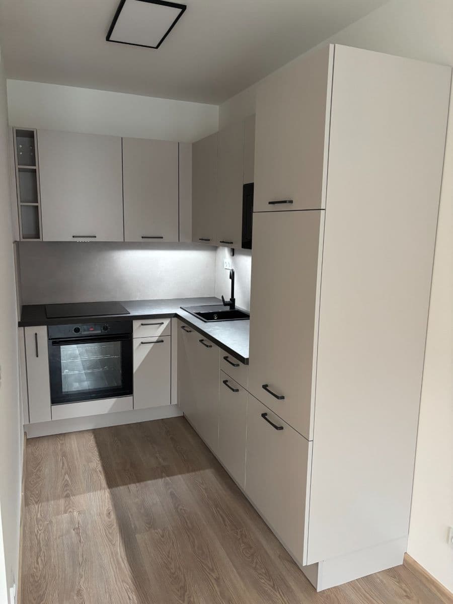 1 bedroom with open-plan kitchen flat to rent, 46 m², Arnošta Staňka, Prague, Prague 1 bedroom with open-plan kitchen flat to rent, 46 m², Arnošta Staňka, Prague, Prague