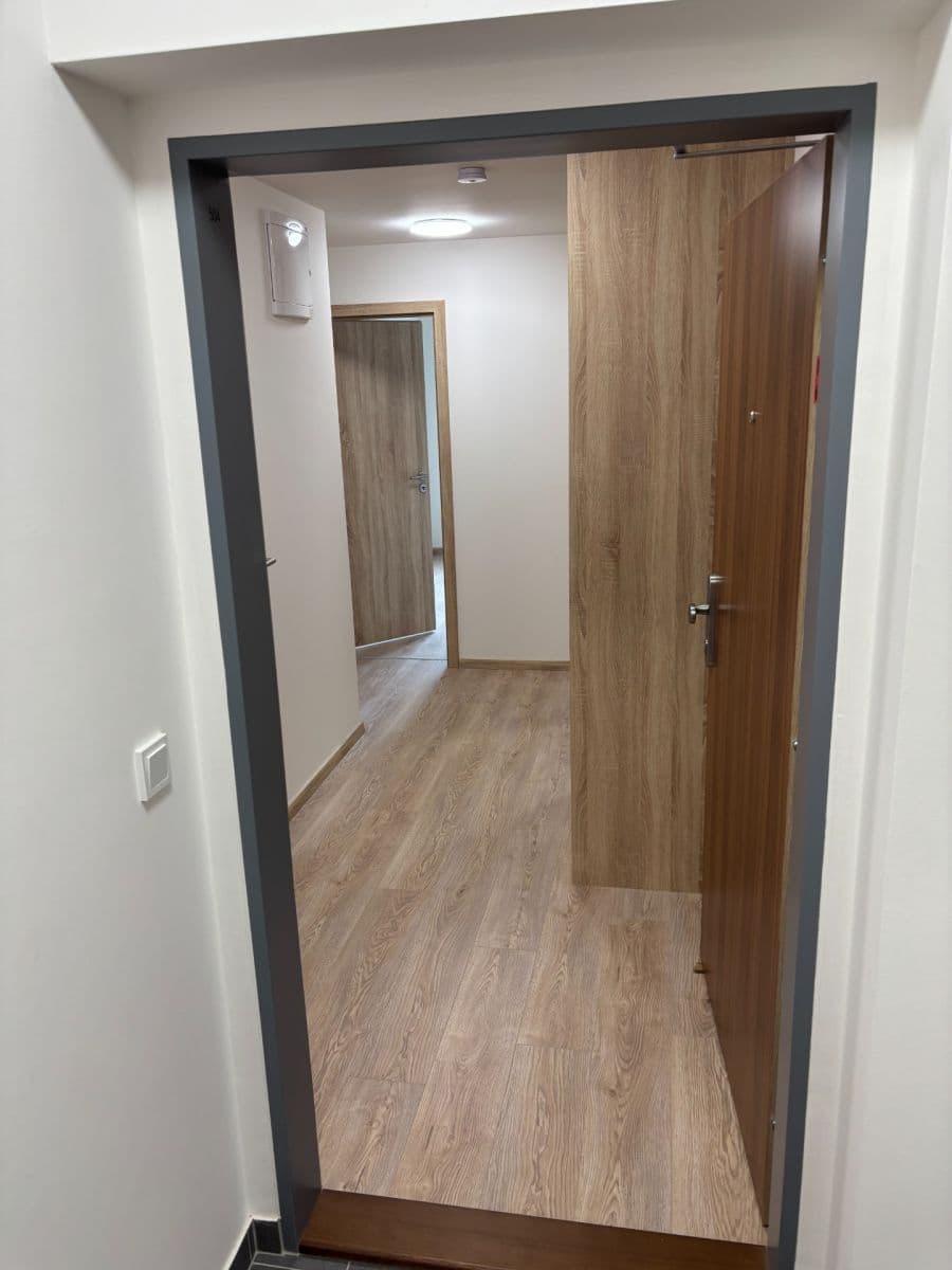 1 bedroom with open-plan kitchen flat to rent, 46 m², Arnošta Staňka, Prague, Prague 1 bedroom with open-plan kitchen flat to rent, 46 m², Arnošta Staňka, Prague, Prague